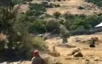 Bingöl'de Hortum Tarla Şenliği Yüzünden Çiftçileri Zor Duruma Soktu