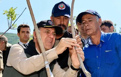 Bingöl'de Menengiç Ağaçlarına Fıstık Aşısı Uygulaması Başladı