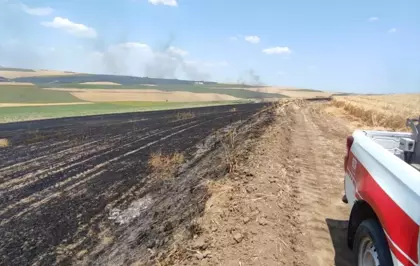 Tekirdağ'da 70 Dönüm Buğday Tarlası Yangında Zarar Gördü