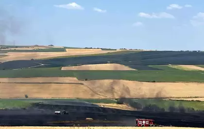 Tekirdağ'da Buğday Tarlalarında Yangın: 150 Dönüm Zarar Gördü
